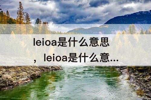 leioa是什么意思，leioa是什么意思?