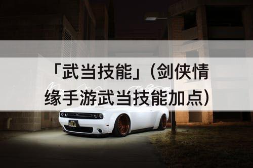 「武当技能」(剑侠情缘手游武当技能加点)