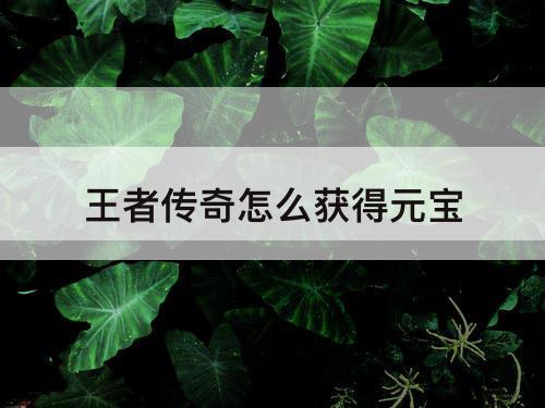 王者传奇怎么获得元宝