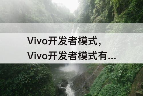 Vivo开发者模式，Vivo开发者模式有哪些功能