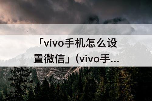 「vivo手机怎么设置微信」(vivo手机怎么设置微信背景图片)