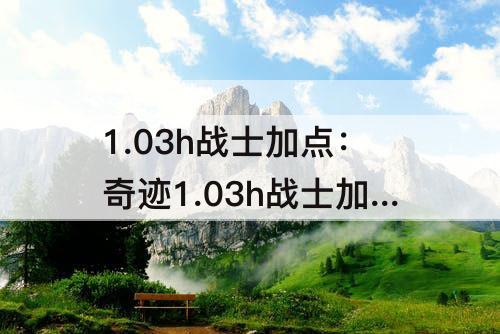 1.03h战士加点：奇迹1.03h战士加点1.2w