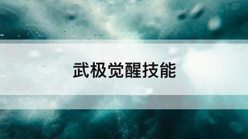武极觉醒技能