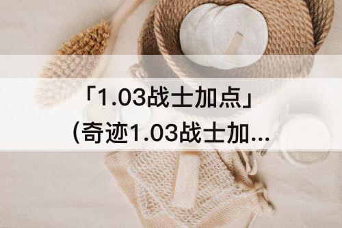 「1.03战士加点」(奇迹1.03战士加点公式)