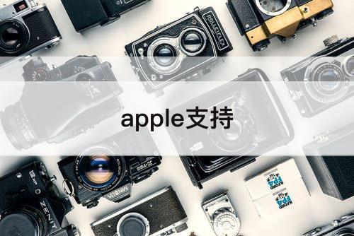 apple支持