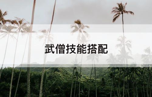 武僧技能搭配