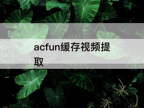 acfun缓存视频提取