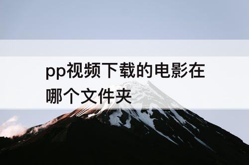 pp视频下载的电影在哪个文件夹