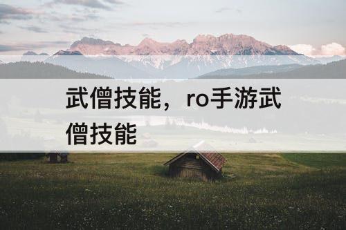 武僧技能，ro手游武僧技能