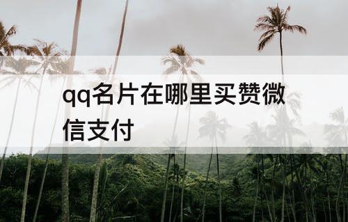 qq名片在哪里买赞微信支付
