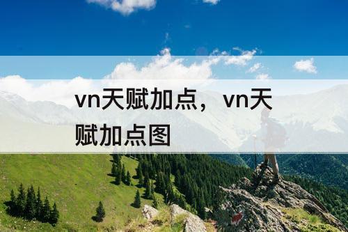 vn天赋加点，vn天赋加点图