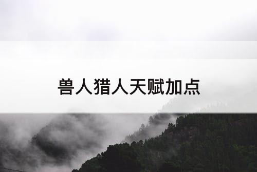 兽人猎人天赋加点