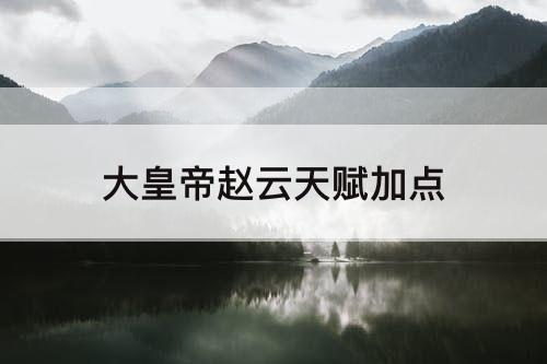 大皇帝赵云天赋加点