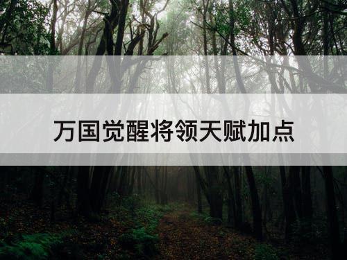 万国觉醒将领天赋加点