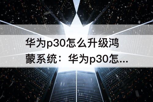 华为p30怎么升级鸿蒙系统：华为p30怎么升级鸿蒙系统3.0