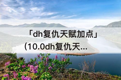 「dh复仇天赋加点」(10.0dh复仇天赋加点)
