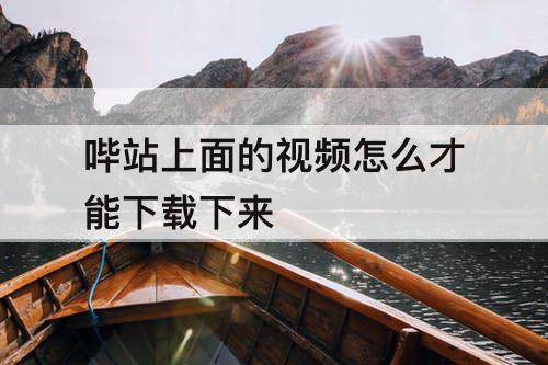 哔站上面的视频怎么才能下载下来
