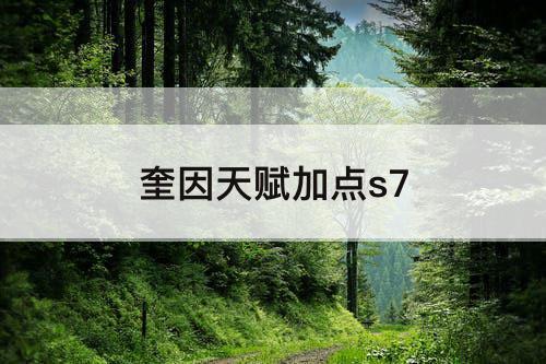 奎因天赋加点s7