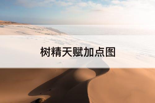 树精天赋加点图
