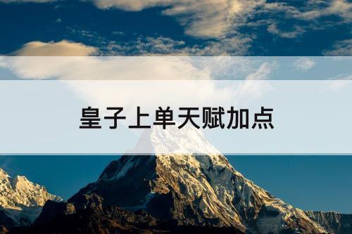 皇子上单天赋加点