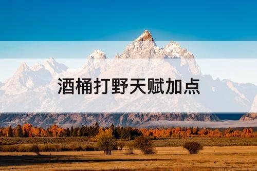 酒桶打野天赋加点