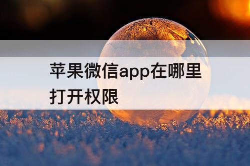 苹果微信app在哪里打开权限