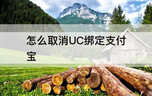 怎么取消UC绑定支付宝