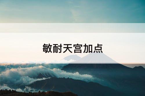 敏耐天宫加点