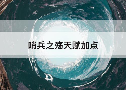 哨兵之殇天赋加点