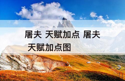 屠夫 天赋加点 屠夫 天赋加点图