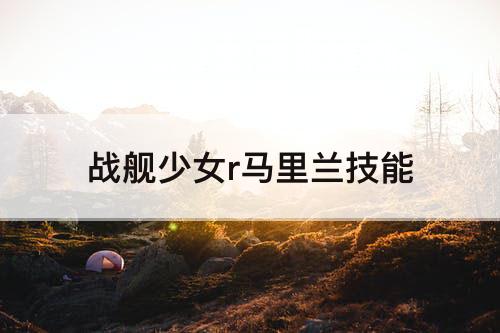 战舰少女r马里兰技能