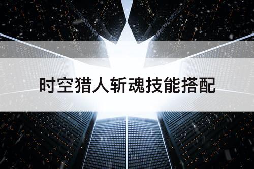 时空猎人斩魂技能搭配