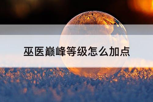 巫医巅峰等级怎么加点
