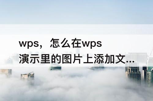 wps，怎么在wps演示里的图片上添加文字