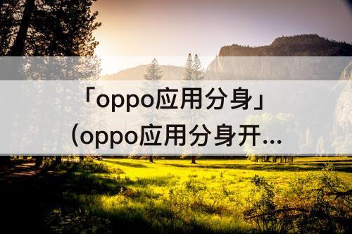 「oppo应用分身」(oppo应用分身开启选项是灰色)