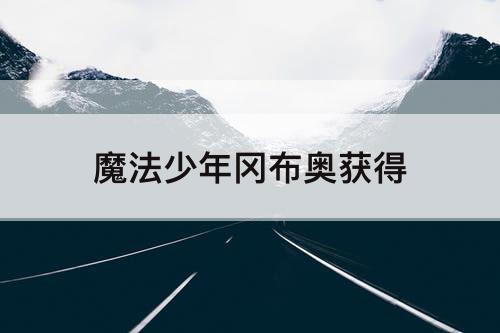 魔法少年冈布奥获得