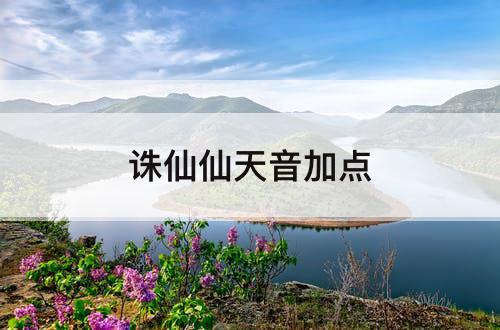 诛仙仙天音加点