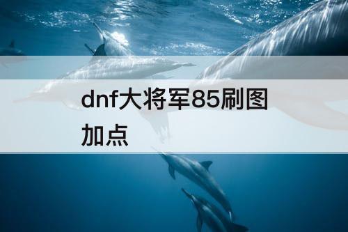 dnf大将军85刷图加点