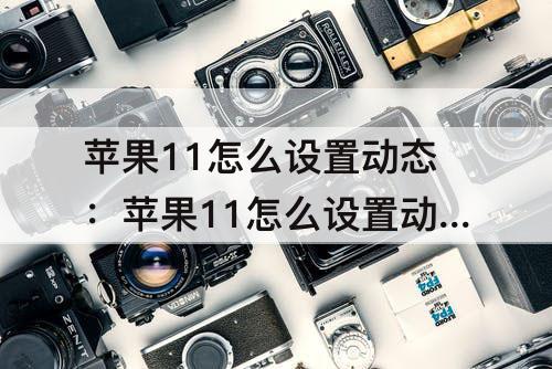 苹果11怎么设置动态：苹果11怎么设置动态壁纸