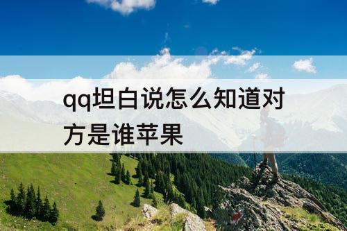 qq坦白说怎么知道对方是谁苹果