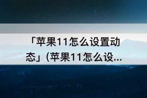 「苹果11怎么设置动态」(苹果11怎么设置动态壁纸自定义怎么没有选取新壁纸)
