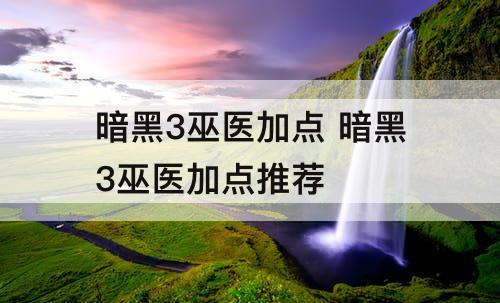 暗黑3巫医加点 暗黑3巫医加点推荐