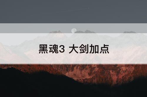 黑魂3 大剑加点