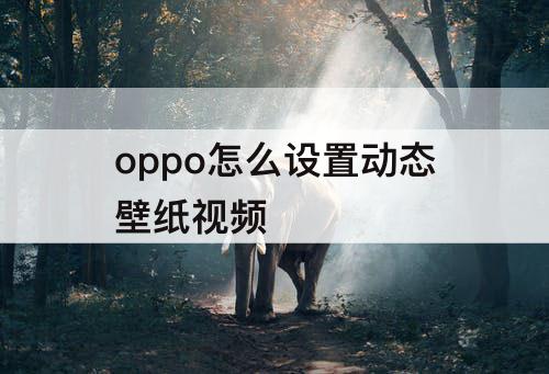 oppo怎么设置动态壁纸视频