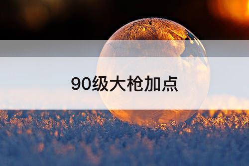 90级大枪加点