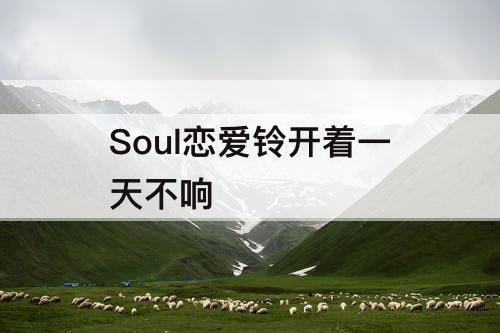 Soul恋爱铃开着一天不响