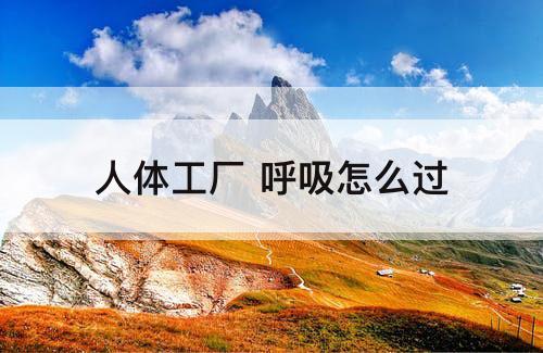 人体工厂 呼吸怎么过