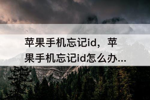 苹果手机忘记id，苹果手机忘记id怎么办 账号
