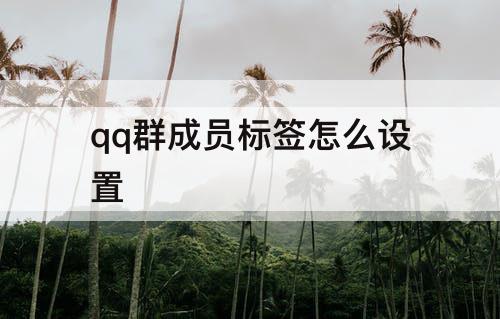 qq群成员标签怎么设置