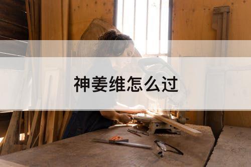 神姜维怎么过